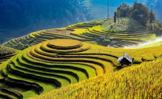 Quảng bá di tích quốc gia đặc biệt ruộng bậc thang Mù Cang Chải